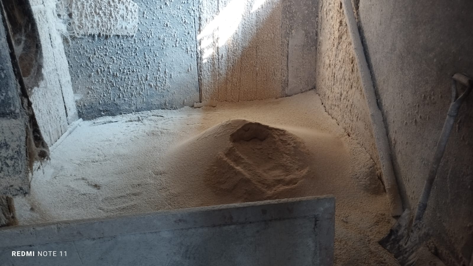 Beras dan Dedak 